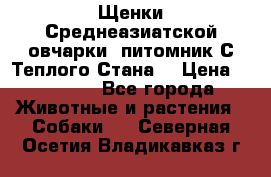 Щенки Среднеазиатской овчарки (питомник С Теплого Стана) › Цена ­ 20 000 - Все города Животные и растения » Собаки   . Северная Осетия,Владикавказ г.